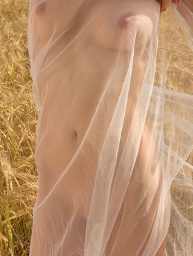 Slender teen Lera F removes see thru wrap for nude poses in a field of wheat