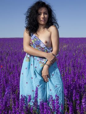 Young brunette Maliko takes off summer dress in the purple field