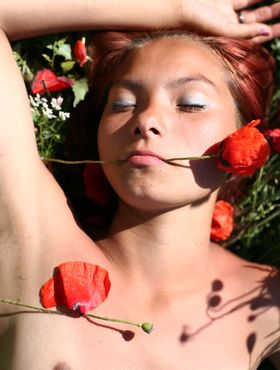 Flat chested tiny teen Nastia A frolics naked in a poppy field